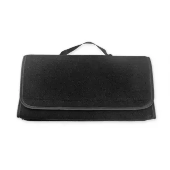 Organisateur de coffre, grand AMIO 02540