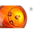 Avertisseur W02M Magnétique R65 R10 39LED 12/24V IP56 AMIO 02300 - Visuel 2