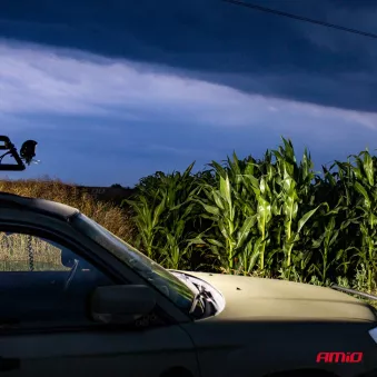 Lampe de travail AWL09 28 LED FLOOD 9-36V AMIO 02423