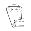 Pompe à eau + kit de courroie de distribution GATES KP15348XS - Visuel 2