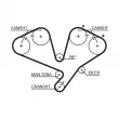 Pompe à eau + kit de courroie de distribution GATES KP15442XS - Visuel 2