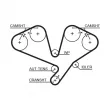 Pompe à eau + kit de courroie de distribution GATES KP15611XS - Visuel 2