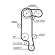 Pompe à eau + kit de courroie de distribution GATES KP45565XS - Visuel 2