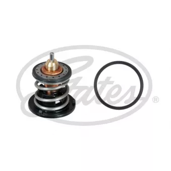 Thermostat d'eau GATES TH60380G1