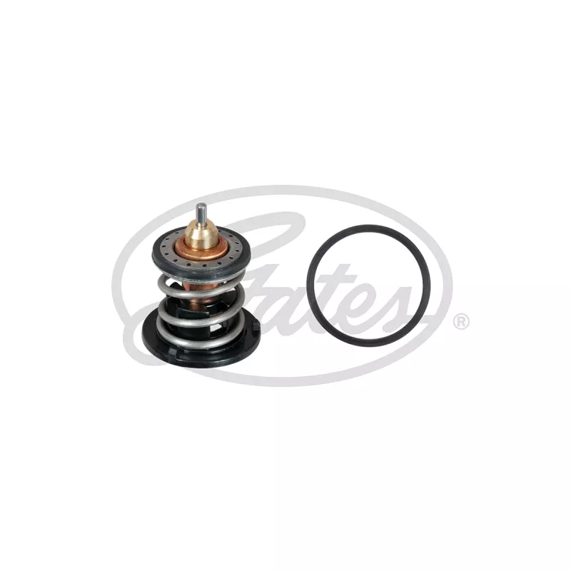 Thermostat d'eau GATES TH60380G1