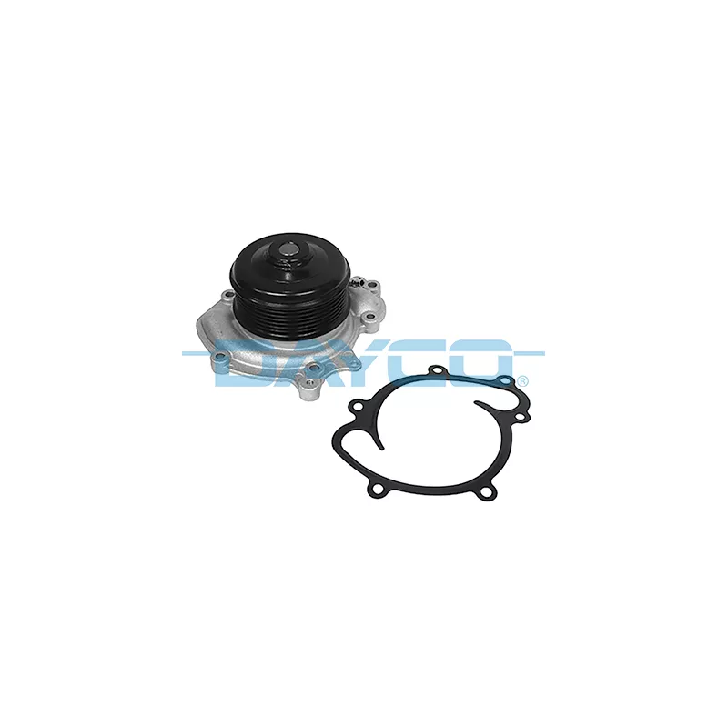 Pompe à eau, refroidissement du moteur DAYCO DP2187