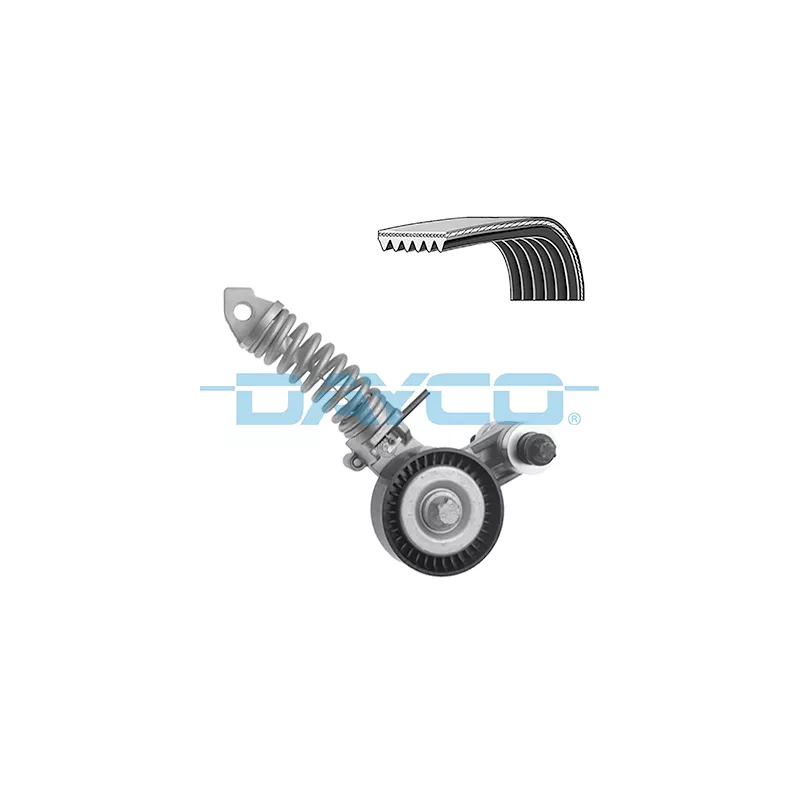 Jeu de courroies trapézoïdales à nervures DAYCO KPV1225