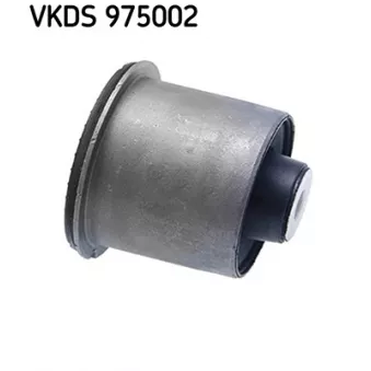 Corps d'essieu SKF VKDS 975002