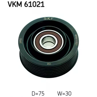 Poulie renvoi/transmission, courroie trapézoïdale à nervures SKF VKM 61021