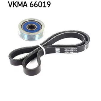 Jeu de courroies trapézoïdales à nervures SKF VKMA 66019