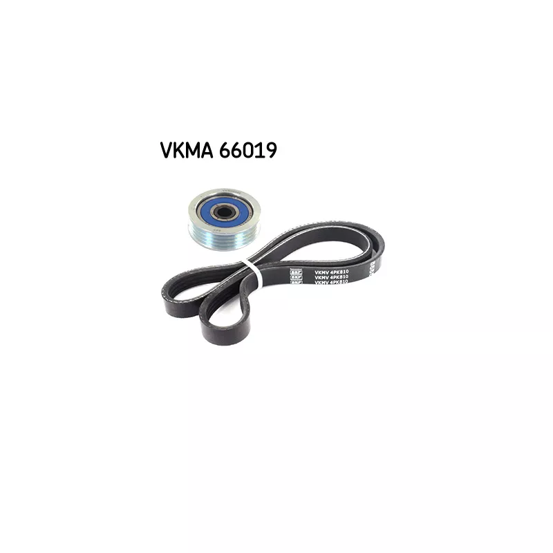 Jeu de courroies trapézoïdales à nervures SKF VKMA 66019