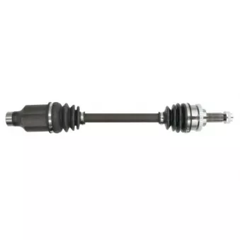 Arbre de transmission avant droit PASCAL G28008PC