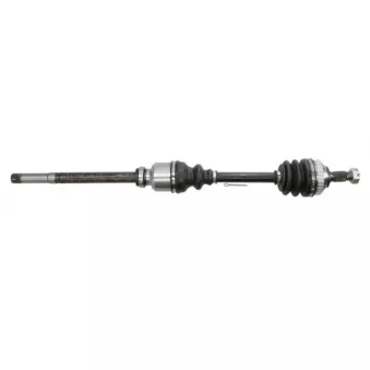 Arbre de transmission PASCAL G2C012PC