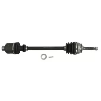 Arbre de transmission PASCAL G2E017PC