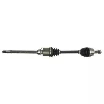 Arbre de transmission avant droit PASCAL G2F031PC