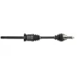 Arbre de transmission avant droit PASCAL G2G004PC - Visuel 1