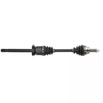 Arbre de transmission avant droit PASCAL G2G004PC