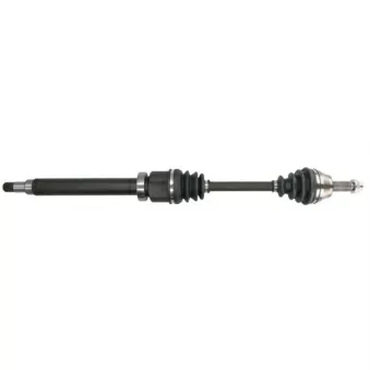 Arbre de transmission avant droit PASCAL G2G049PC