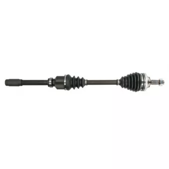 Arbre de transmission avant droit PASCAL G2P051PC