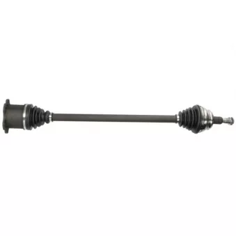 Arbre de transmission avant droit PASCAL G2W032PC