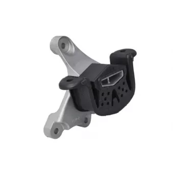 Suspension, boîte de vitesse manuelle REINHOCH RH12-0043
