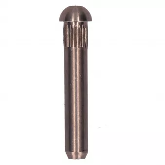Axe charnière porte avant 8.5mm - inox YOUNG PARTS 0475-505