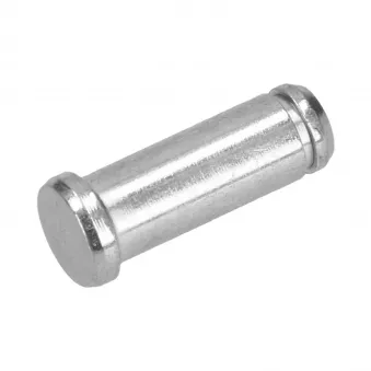 Axe arrêt de porte YOUNG PARTS 8055-300