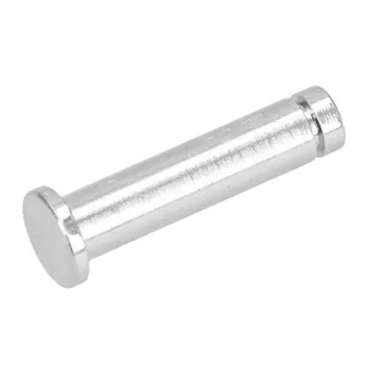 Axe arrêt de porte YOUNG PARTS 8055-100