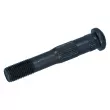 Vis de fermeture de bielle 13/1600cc - OEM YOUNG PARTS 1599-100 - Visuel 1