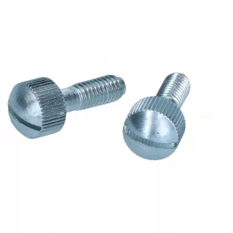 Vis protection tableau de bord YOUNG PARTS 0571-900