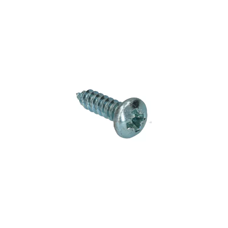 Vis plat 5.5 x 19 YOUNG PARTS 8760-5519
