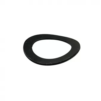 Rondelle boulon volant moteur YOUNG PARTS 1533-1