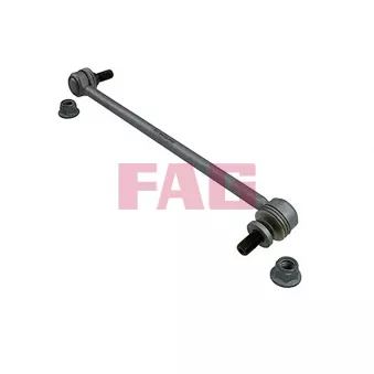 Entretoise/tige, stabilisateur FAG 818 0606 10