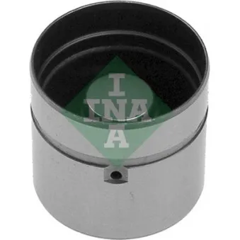 Poussoir de soupape INA