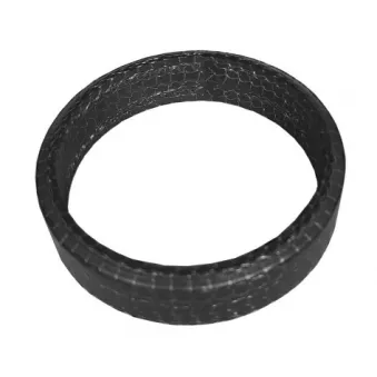 Bague d'étanchéité, tuyau d'échappement IMASAF