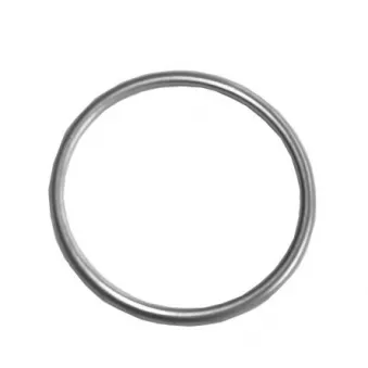 Bague d'étanchéité, tuyau d'échappement IMASAF
