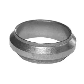 Bague d'étanchéité, tuyau d'échappement IMASAF