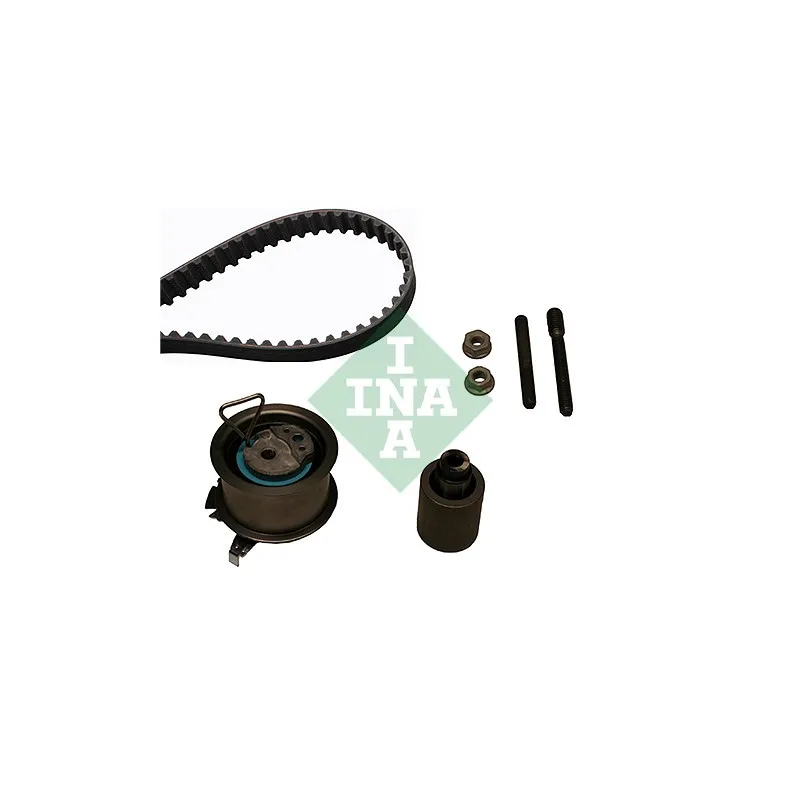Kit de distribution INA 530 0201 10