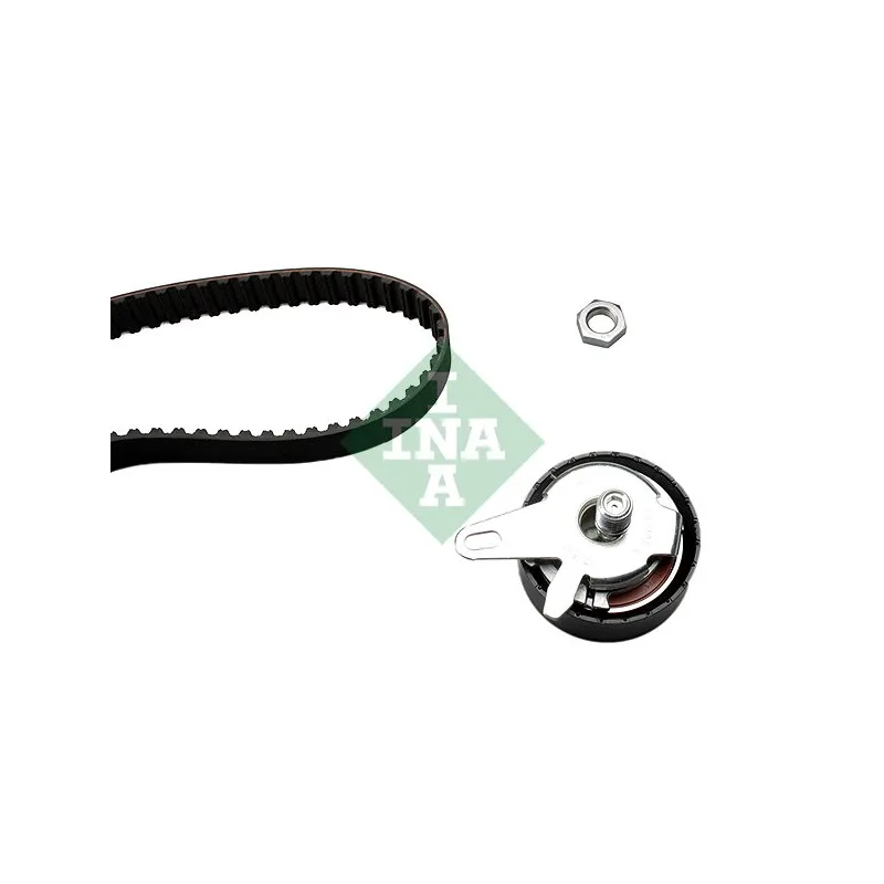 Kit de distribution INA 530 0202 10