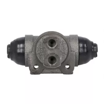 Cylindre de roue arrière gauche ABE C5R044ABE