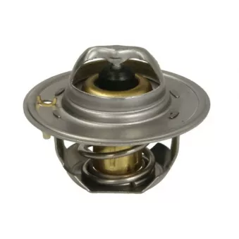 Thermostat, liqiuide de refroidissement THERMOTEC D2FO002TT