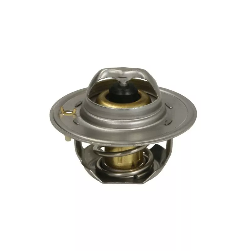 Thermostat, liqiuide de refroidissement THERMOTEC D2FO002TT