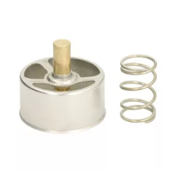 Thermostat d'eau THERMOTEC
