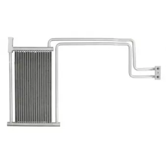 Radiateur d'huile de boîte automatique THERMOTEC