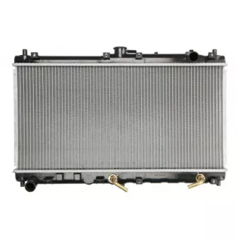 Radiateur, refroidissement du moteur THERMOTEC D73025TT