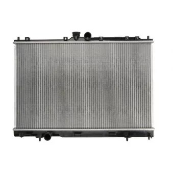 Radiateur, refroidissement du moteur THERMOTEC D75020TT