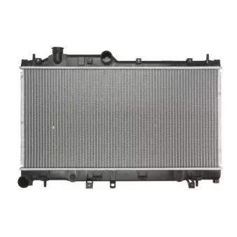 Radiateur, refroidissement du moteur THERMOTEC D77012TT