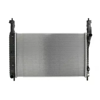 Radiateur, refroidissement du moteur THERMOTEC D7X095TT