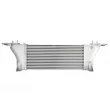 Intercooler, échangeur THERMOTEC DA1015TT - Visuel 1