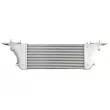 Intercooler, échangeur THERMOTEC DA1015TT - Visuel 2
